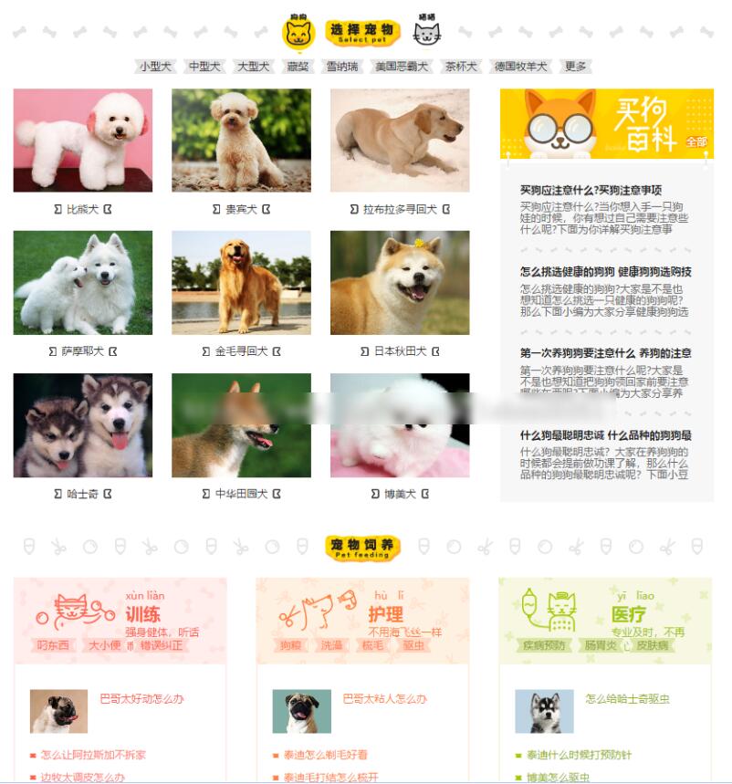 专业宠物资讯平台网站源码分享,含手机版,带采集功能等截图